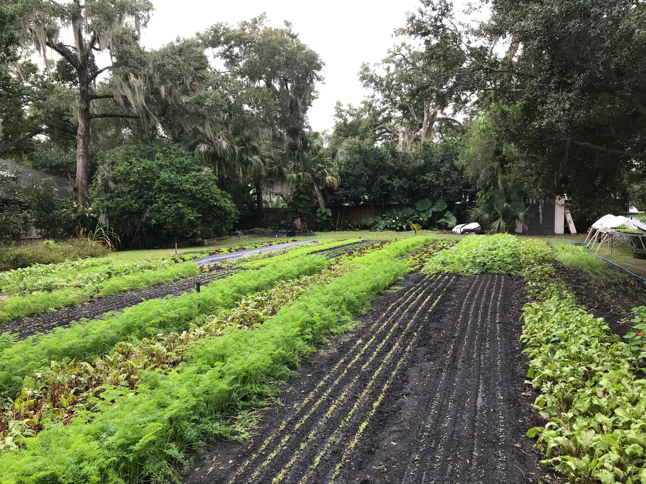 farm-your-yard